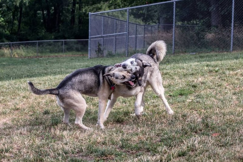 South Park Dog Park #2 - South Park Township, PA