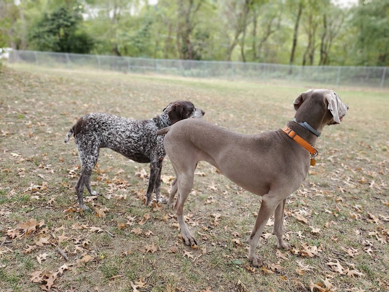 South Park Dog Park #2 - South Park Township, PA