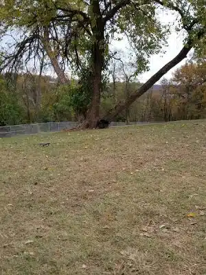 South Park Dog Park #2