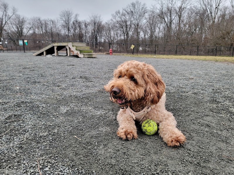 Southside Dog Park - South Plainfield, NJ