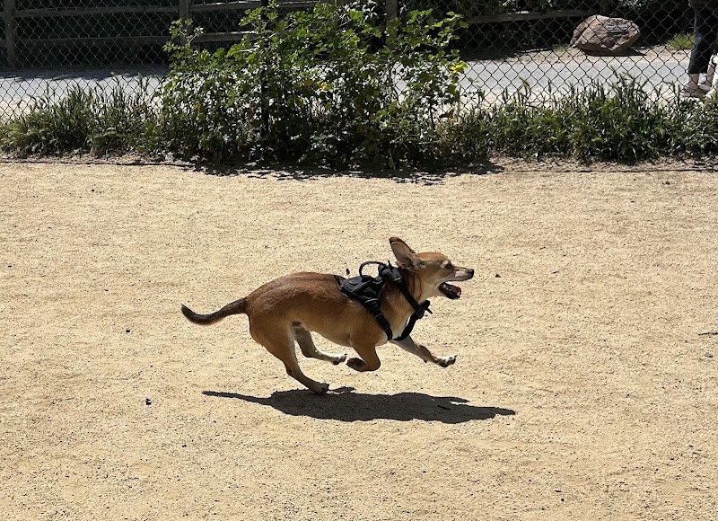 Centennial Dog Park - South San Francisco, CA