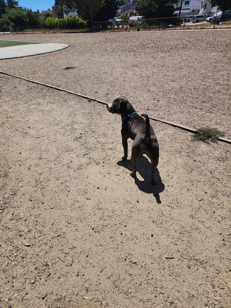 Centennial Dog Park - South San Francisco, CA