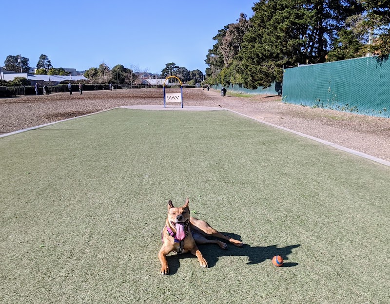 Centennial Dog Park - South San Francisco, CA