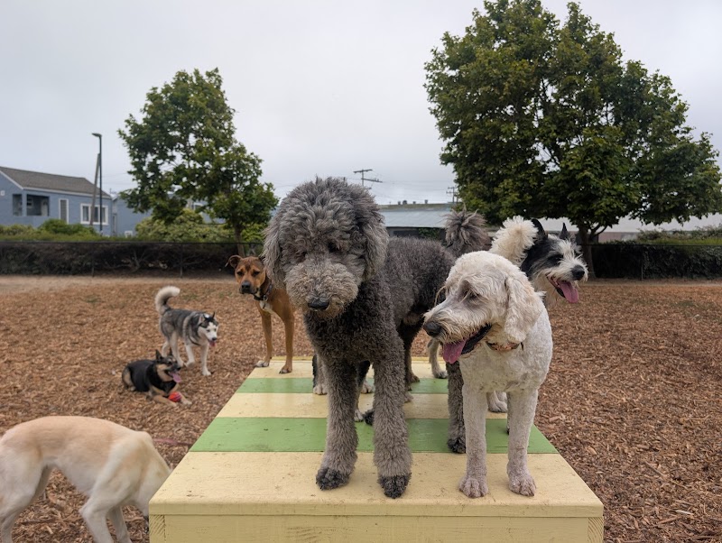 Centennial Dog Park - South San Francisco, CA