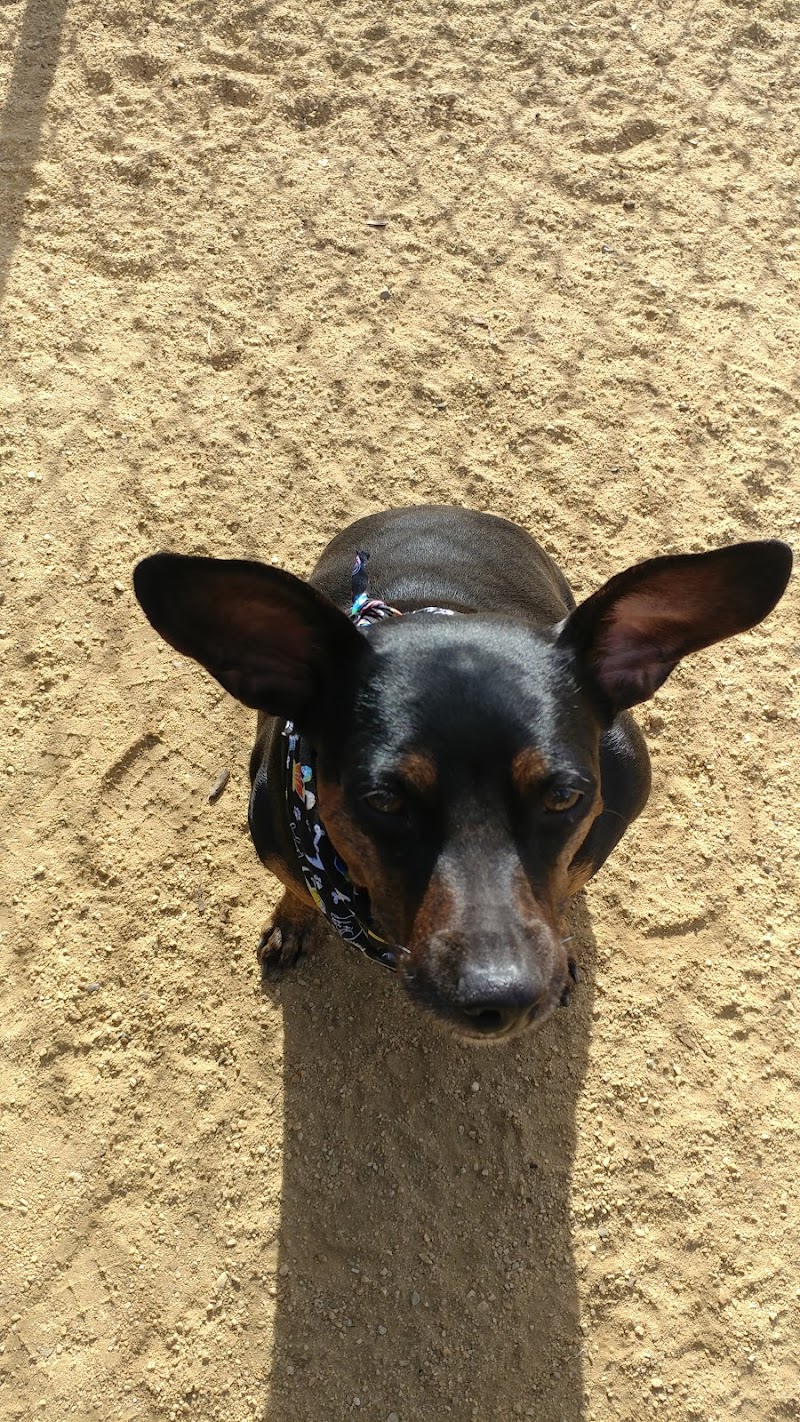 Centennial Dog Park - South San Francisco, CA