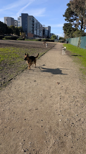 Centennial Dog Park - South San Francisco, CA