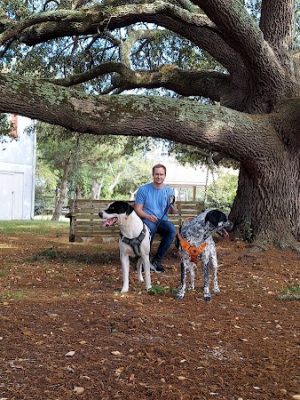 Salty Dog Dog Park