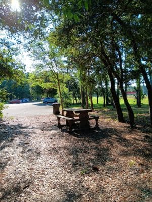 Salty Dog Dog Park