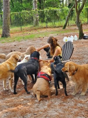 Salty Dog Dog Park
