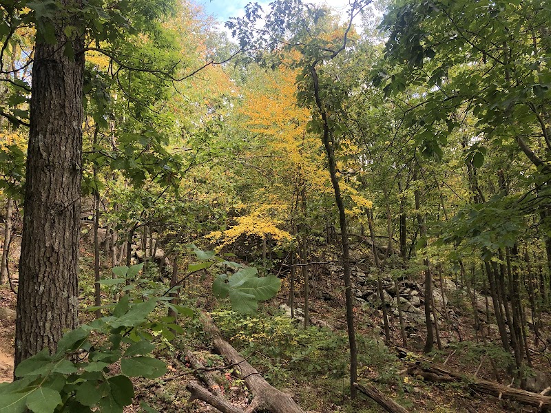 Sparta Glen Park - Sparta, NJ