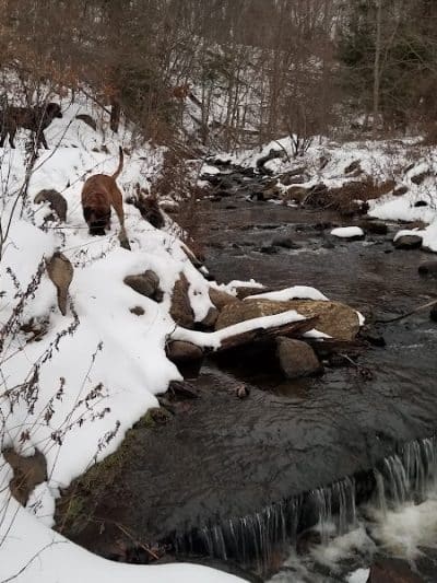 Sparta Glen Park - Sparta, NJ