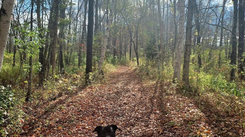 Sacandaga pathway - Speculator, NY