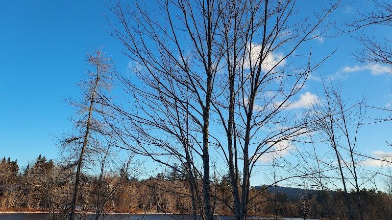 Sacandaga pathway - Speculator, NY
