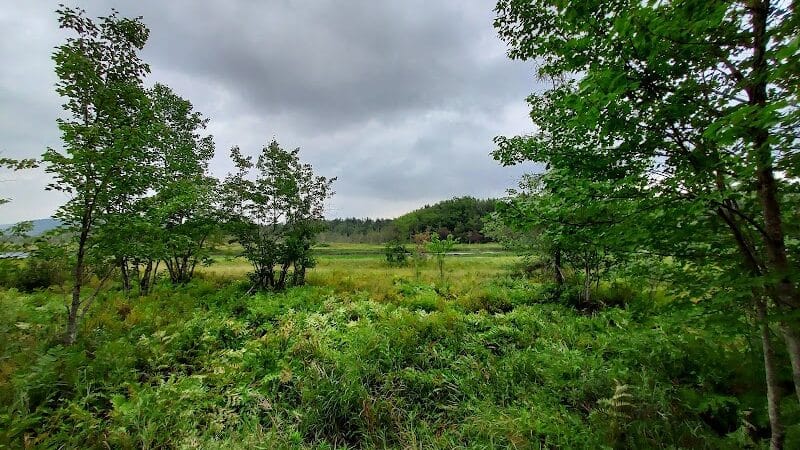 Sacandaga pathway - Speculator, NY