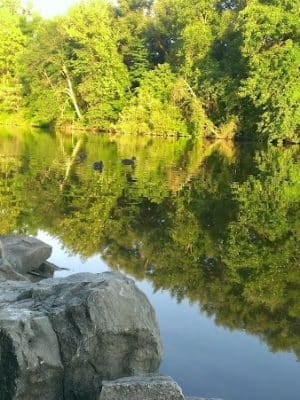 Rose Turner Park - Spencerport, NY
