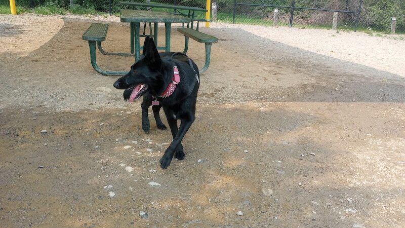 Valley Mission Dog Park - Spokane Valley, WA