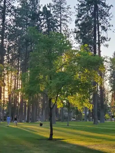 Audubon Park - Spokane, WA