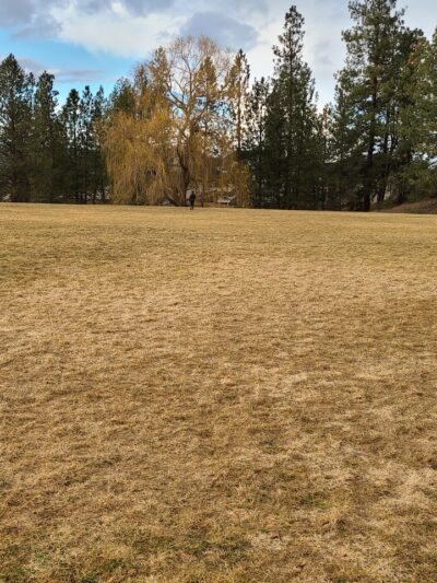 Camelot Park - Spokane, WA
