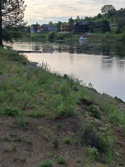 Donkey Island Trailhead - Spokane, WA