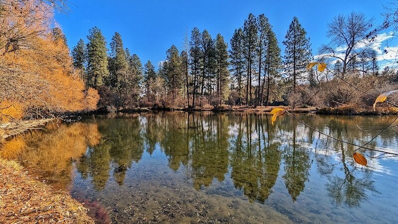 Donkey Island Trailhead - Spokane, WA
