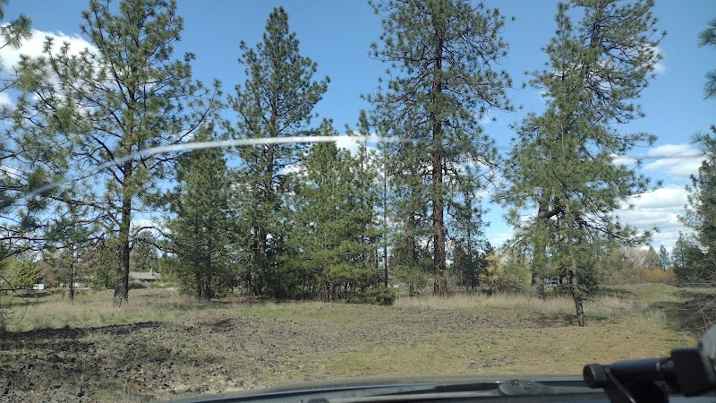 Drumheller Springs Park - Spokane, WA