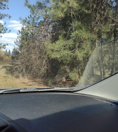 Drumheller Springs Park - Spokane, WA