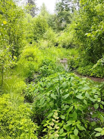 Finch Arboretum Woodland Center - Spokane, WA