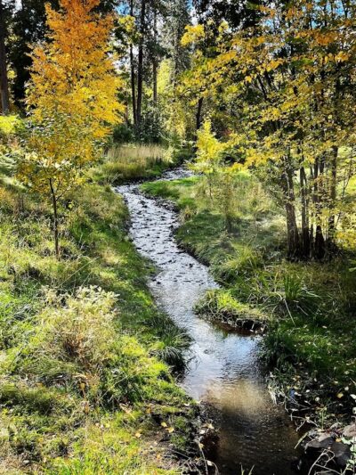 Finch Arboretum Woodland Center - Spokane, WA