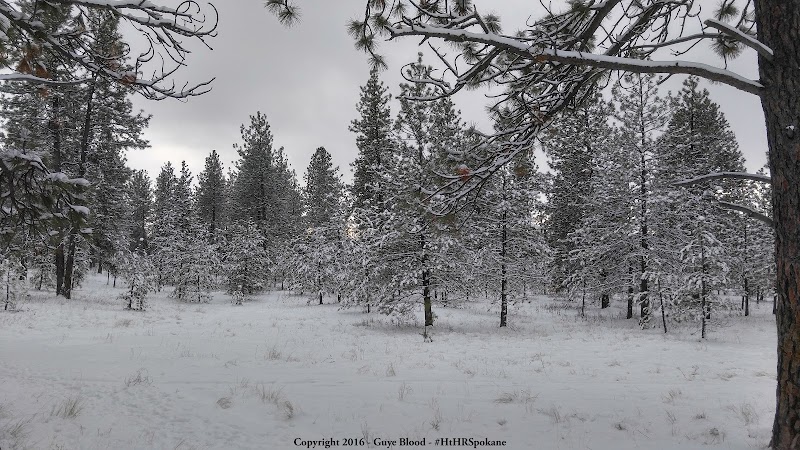 Hamblen Park - Spokane, WA