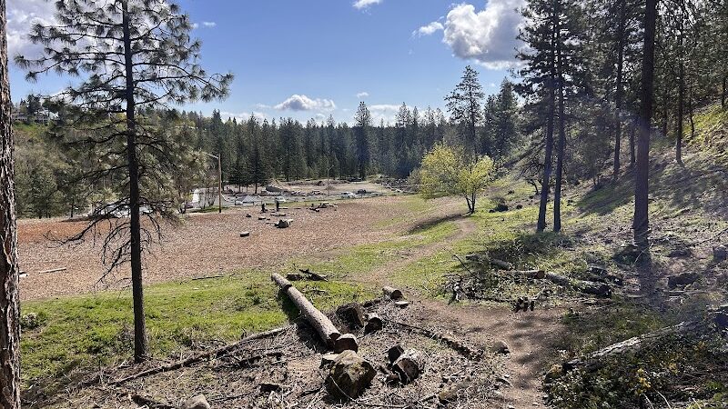 High Bridge Dog Park - Spokane, WA