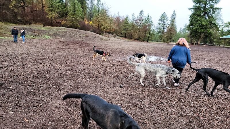 High Bridge Dog Park - Spokane, WA