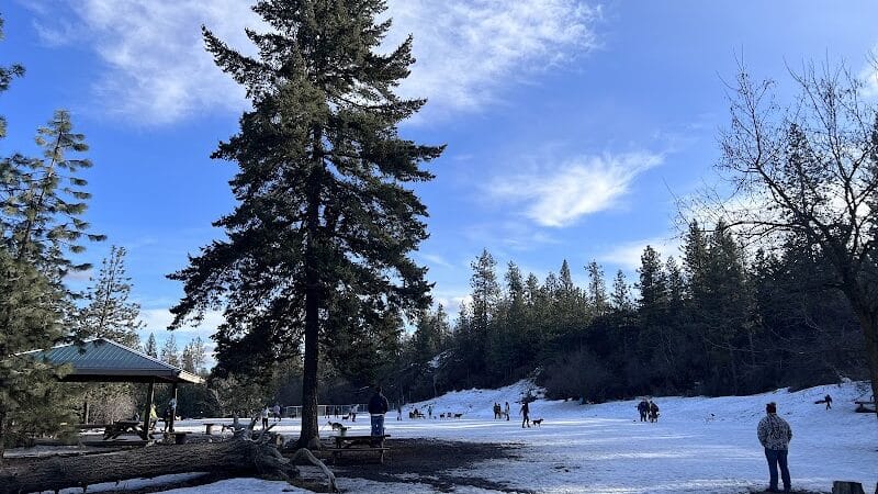 High Bridge Dog Park - Spokane, WA