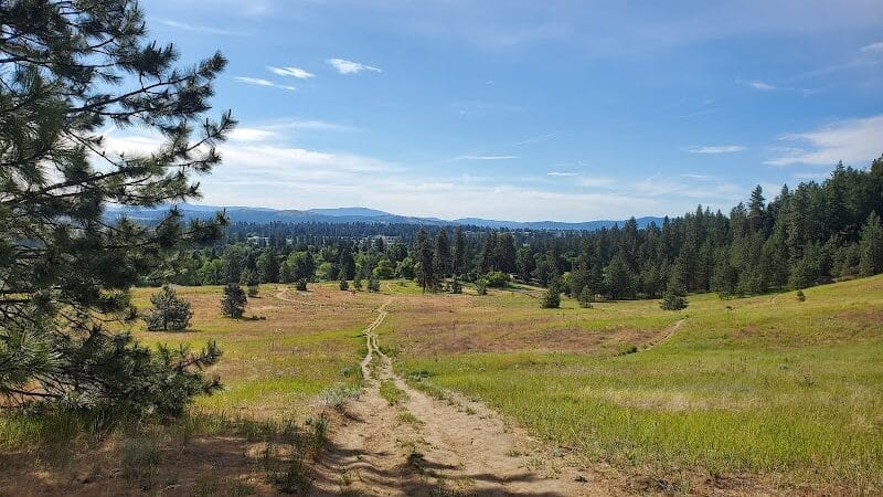 Holmberg Park - Spokane, WA