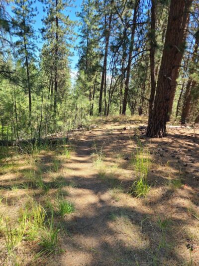 Holmberg Park - Spokane, WA
