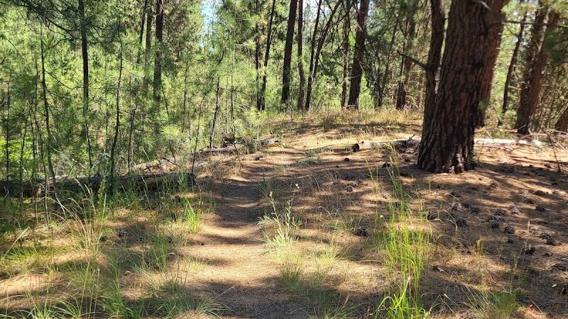Holmberg Park - Spokane, WA