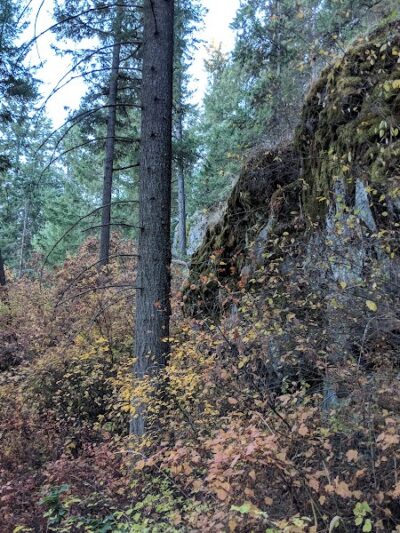Holmberg Park - Spokane, WA