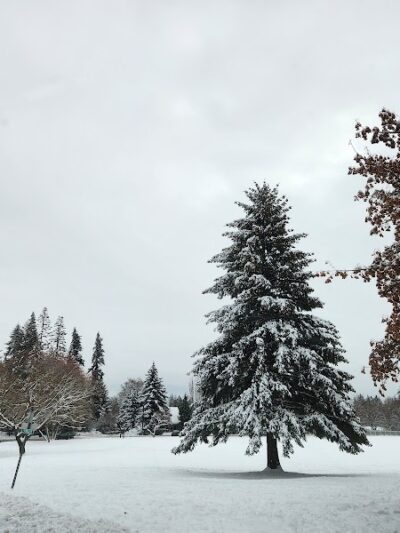 Holmberg Park - Spokane, WA