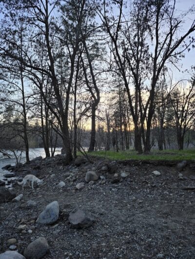 People’s Park - Spokane, WA