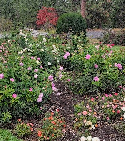 Rose Hill - Spokane, WA