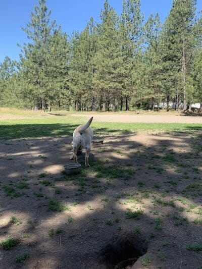 South Hill Dog Park - Spokane, WA