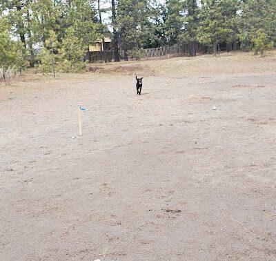 South Hill Dog Park - Spokane, WA