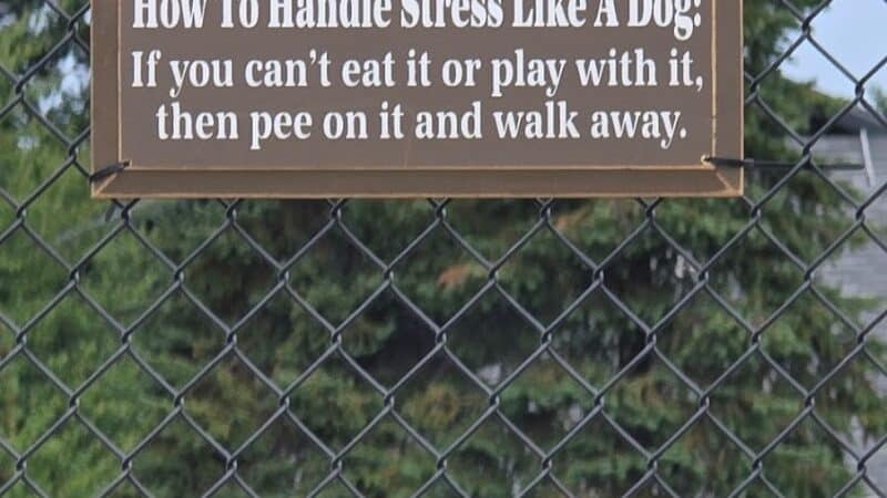 South Hill Dog Park - Spokane, WA