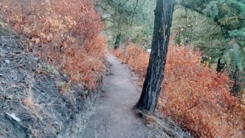 Twickenham Park - Spokane, WA