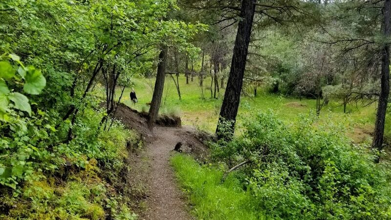Twickenham Park - Spokane, WA