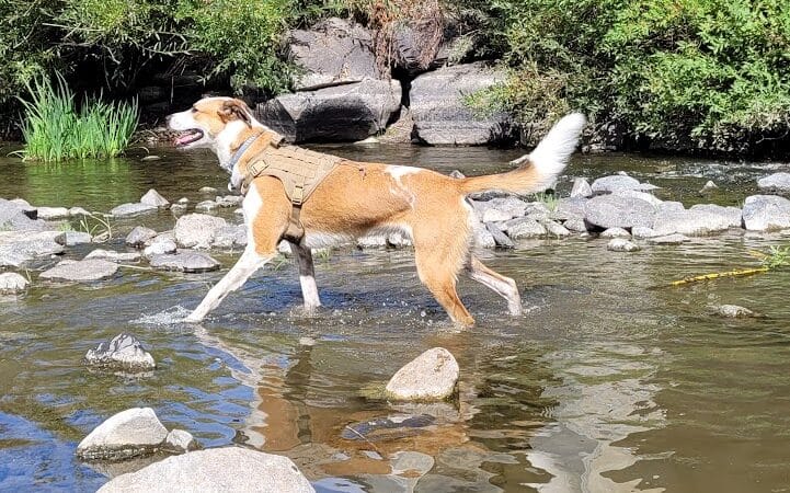 Wentel Grant Park - Spokane, WA