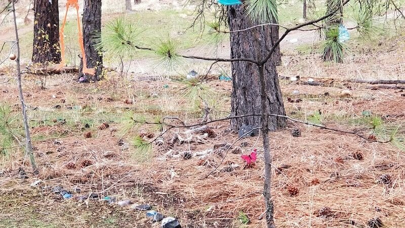 Wyakin Park - Spokane, WA