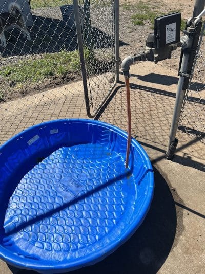 Spooner Dog Park - Spooner, WI