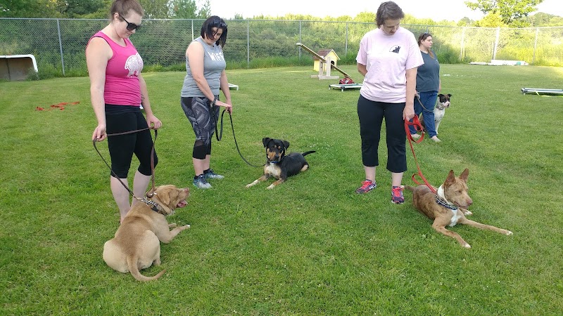 Ayres Memorial Animal Shelter - Sprakers, NY