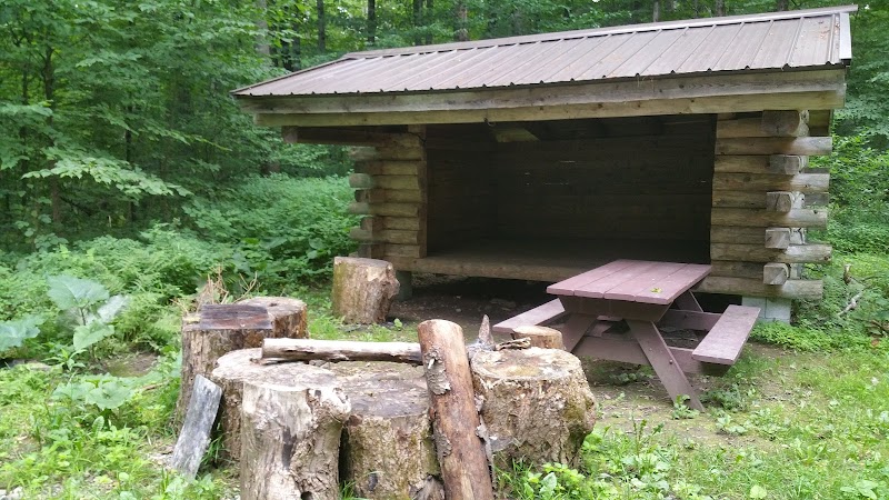Thomas Burbine Forest Natural Trail - Sprakers, NY