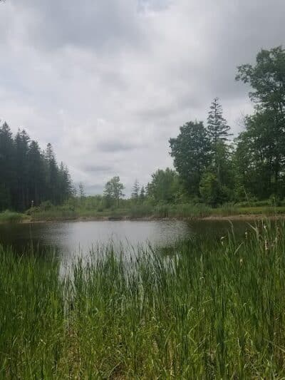 Thomas Burbine Forest Natural Trail - Sprakers, NY